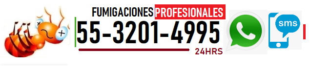 TELEFONO SANITIZACION MEXICO