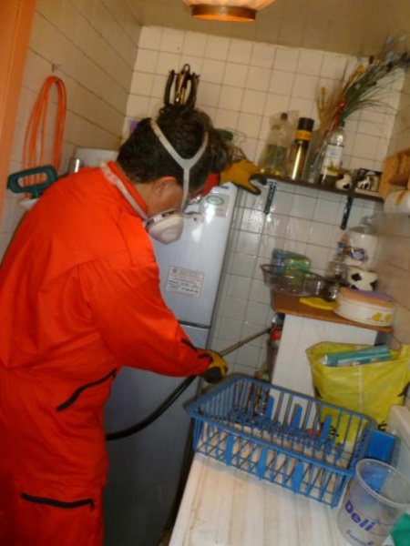 FUMIGACIONES EN VALLE DE ARAGON 2021