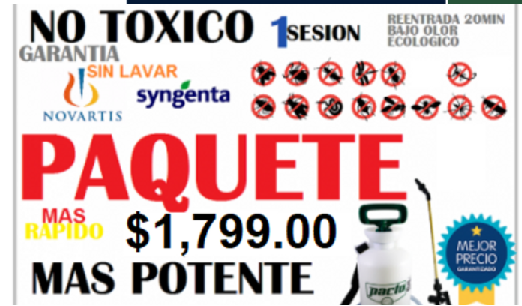FUMIGACIONES EN CENTRAL DE ABASTOS