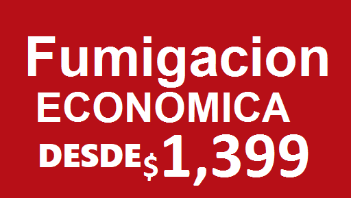 precio fumigación SANTA MARTHA ACATITLA