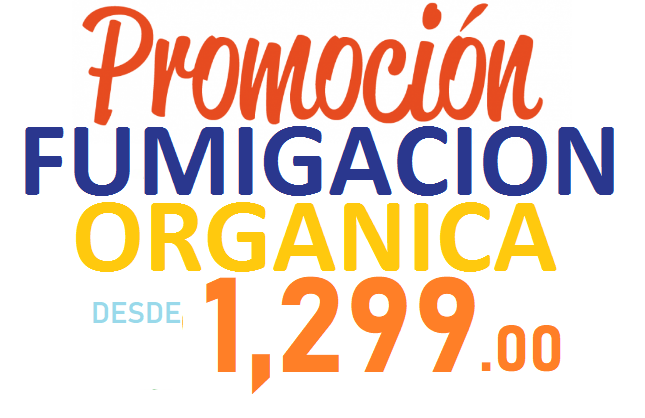 PROMOCION 18 SEPTIEMBRE 2021